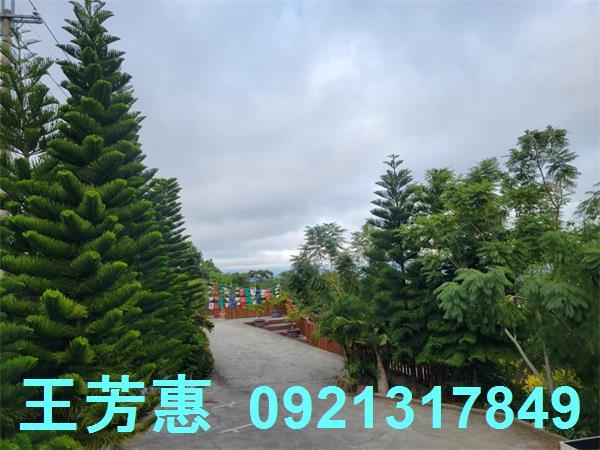 新社農舍-3