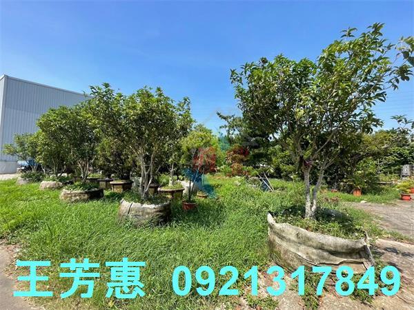 神岡廠房-4