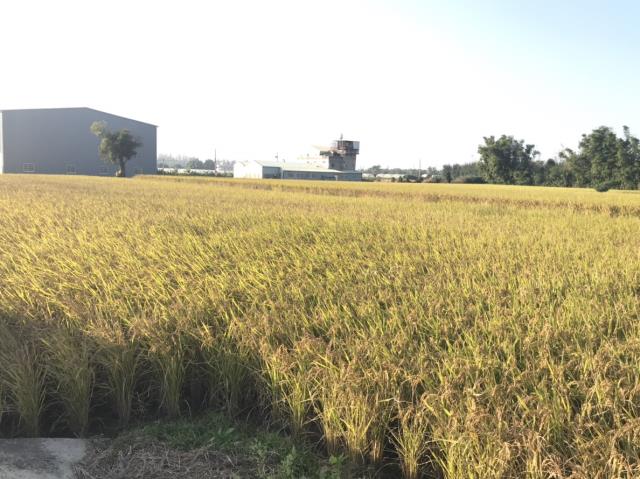 后里田建-0