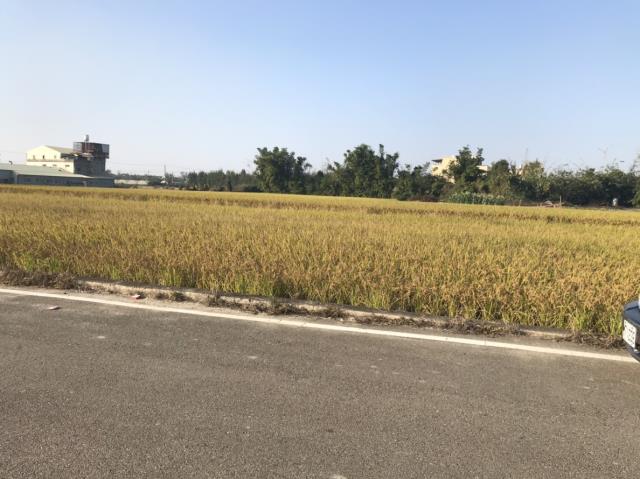 后里田建-1
