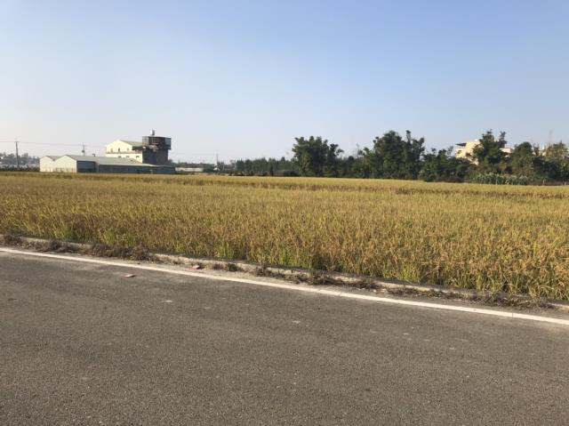 后里田建-2