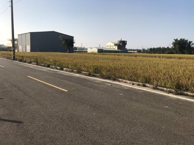 后里田建-3