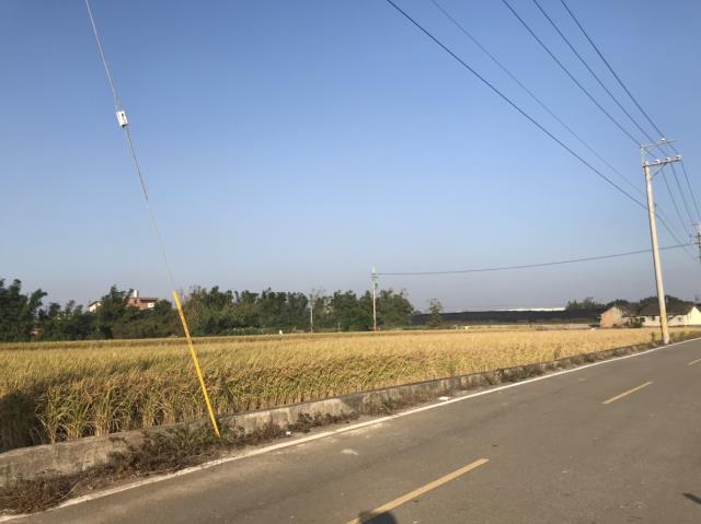后里田建-4