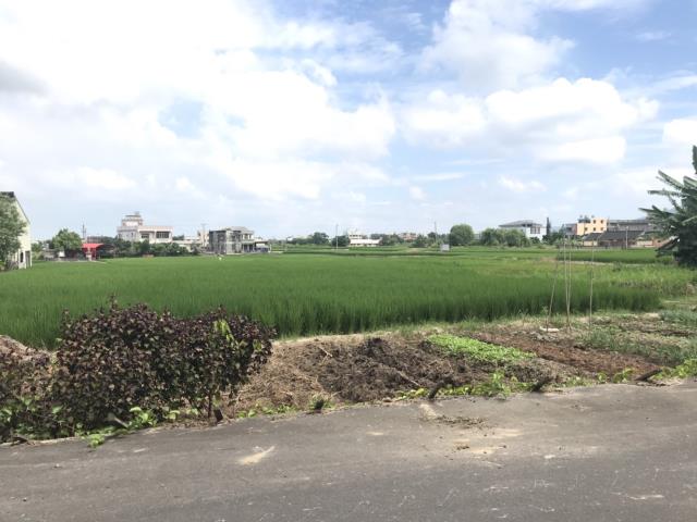 外埔農地-0