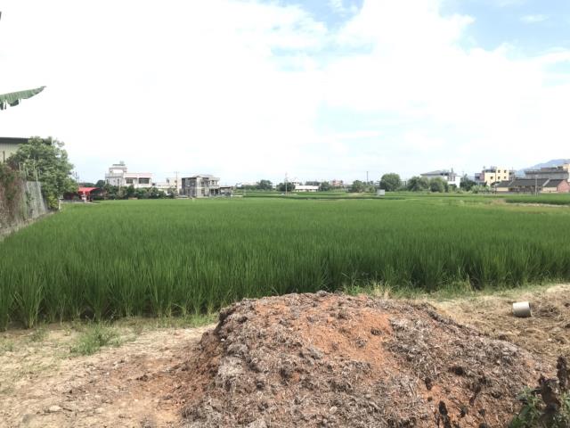 外埔農地-1