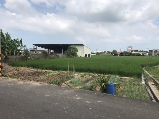 外埔農地-4