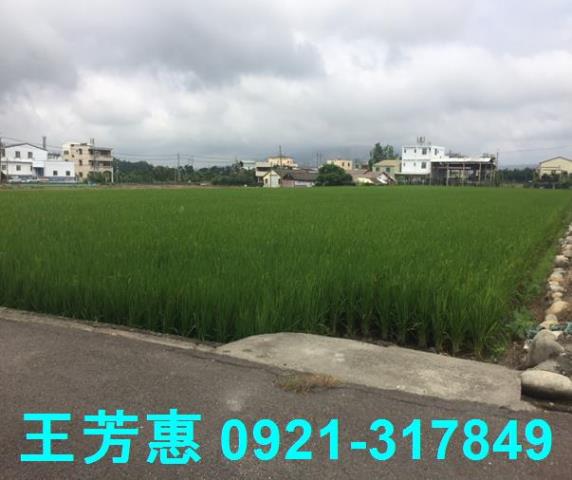 后里農地-0