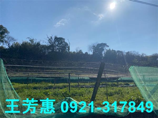台中外埔農地-0