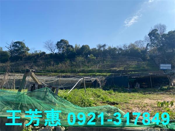 台中外埔農地-1