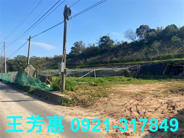 台中外埔農地-3