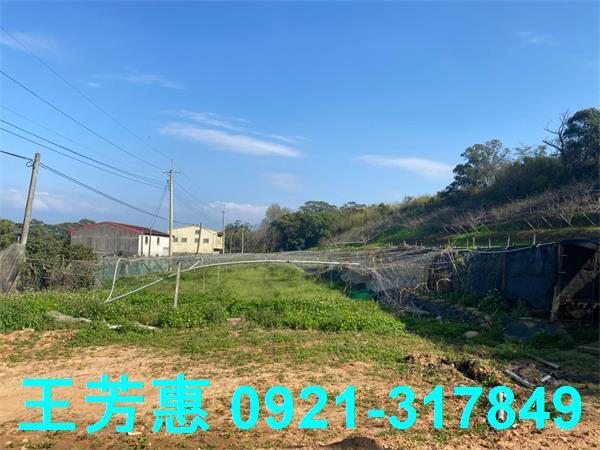 台中外埔農地-4