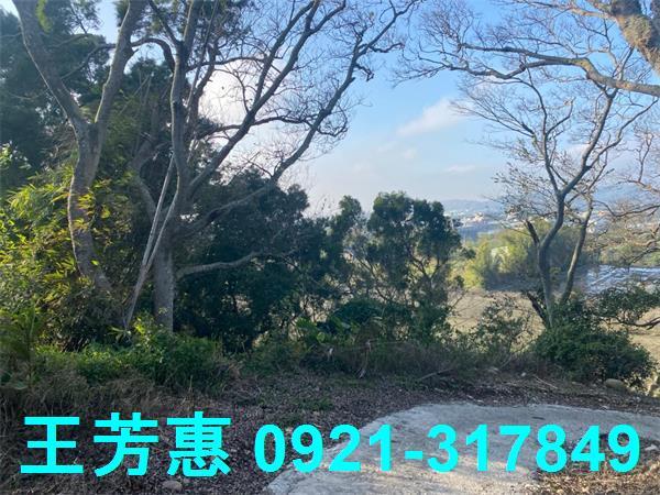 台中外埔農地-0