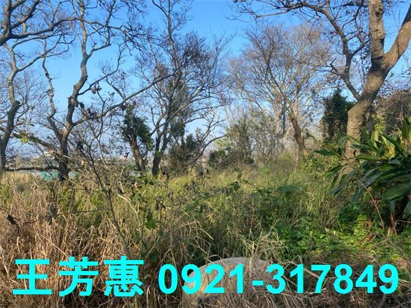 台中外埔農地-1