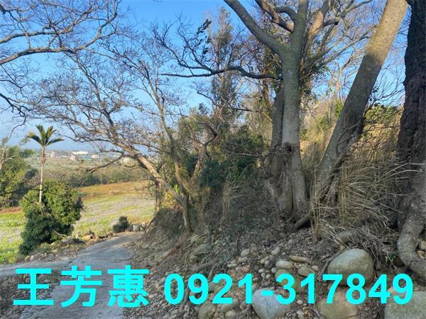 台中外埔農地-2