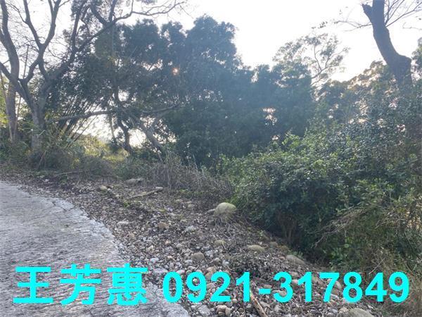 台中外埔農地-3