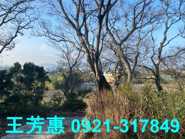 台中外埔農地-4