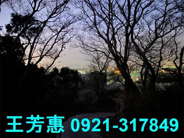 台中外埔農地-5
