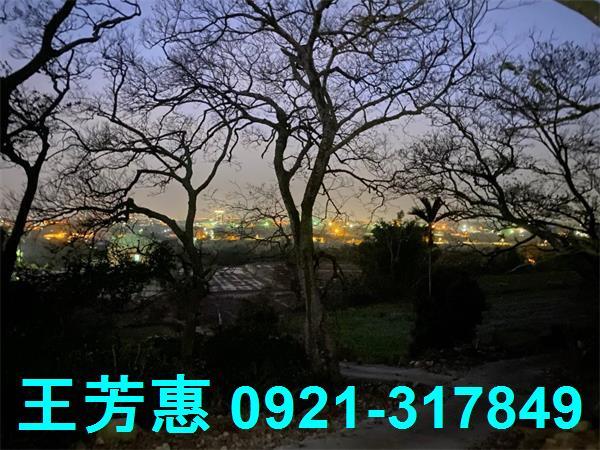 台中外埔農地-7