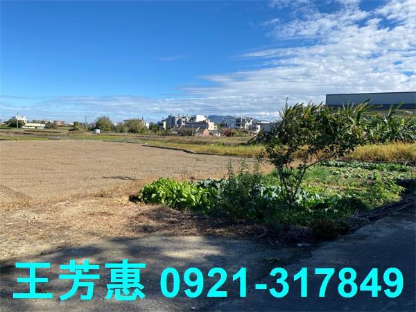台中外埔農地-2