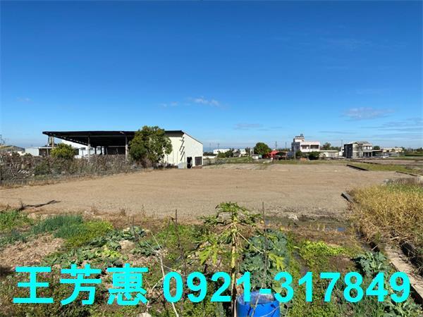 台中外埔農地-5