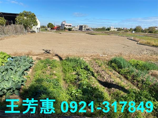 台中外埔農地-6