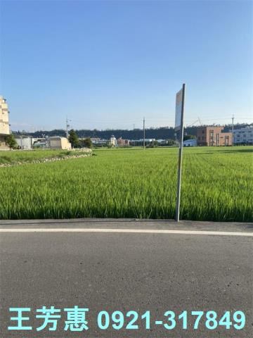 后里農地-0