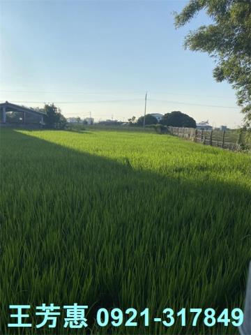 后里農地-2