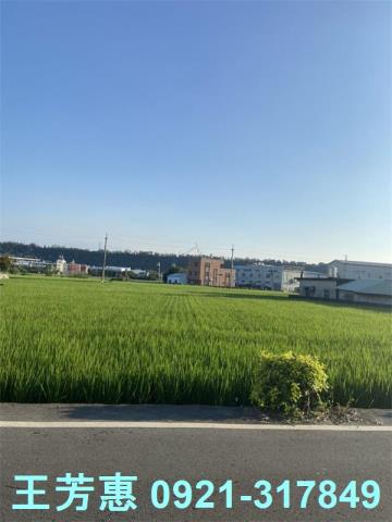 后里農地-3