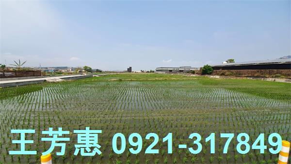 台中農地-5
