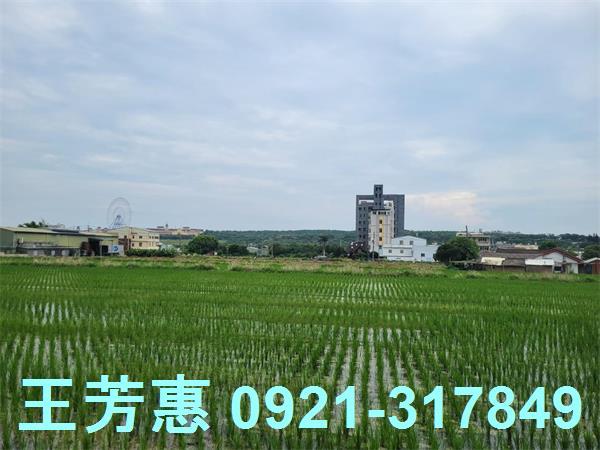 台中農地-2