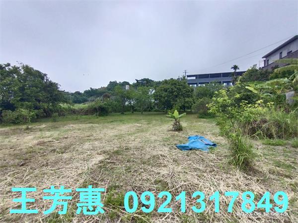 后里農地-4