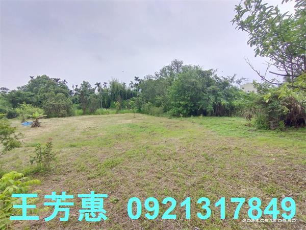 后里農地-5