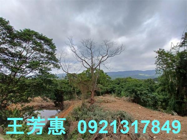 苗栗農地-9