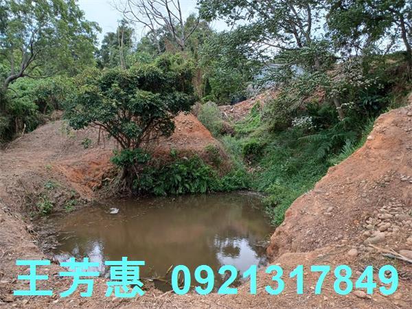 苗栗農地-10
