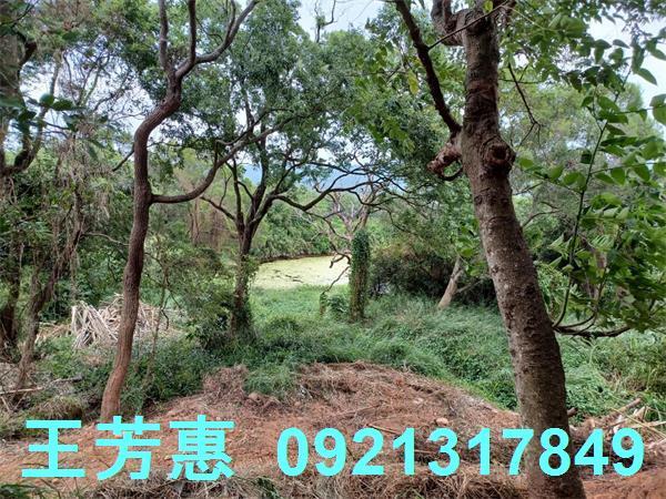 苗栗農地-11