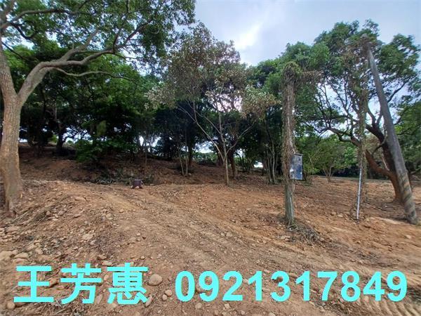 苗栗農地-12