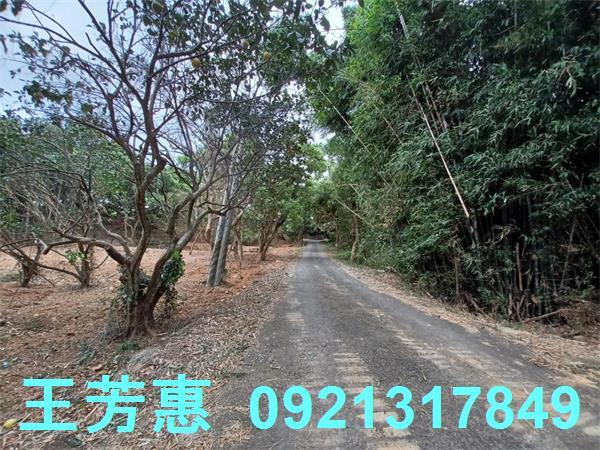 苗栗農地-14