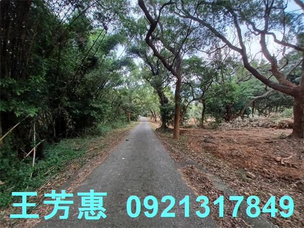 苗栗農地-1