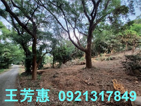 苗栗農地-2