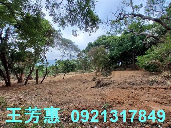苗栗農地-5