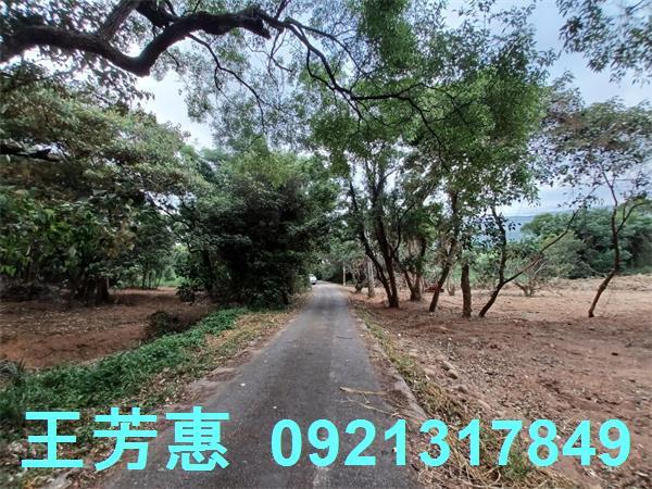 苗栗農地-6