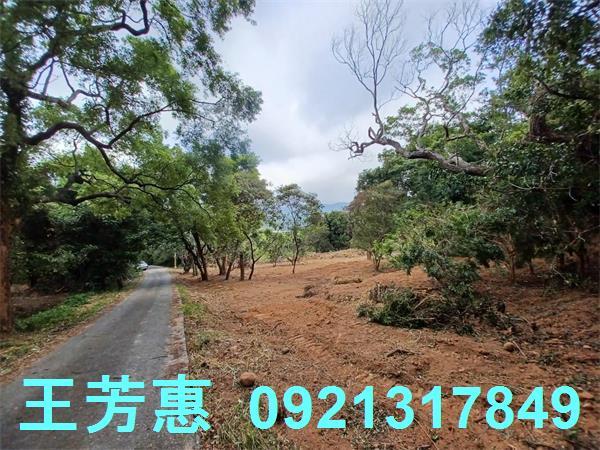 苗栗農地-7