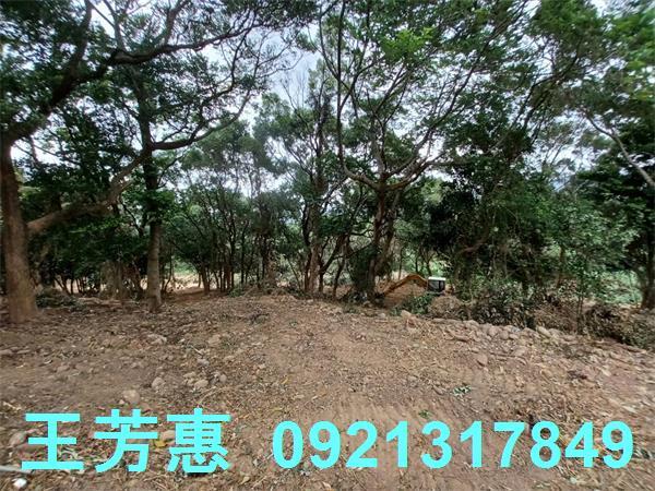 苗栗農地-8