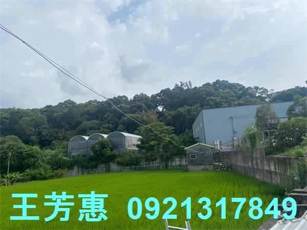 台中外埔農地-9