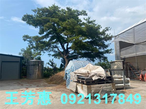 台中外埔農地-10