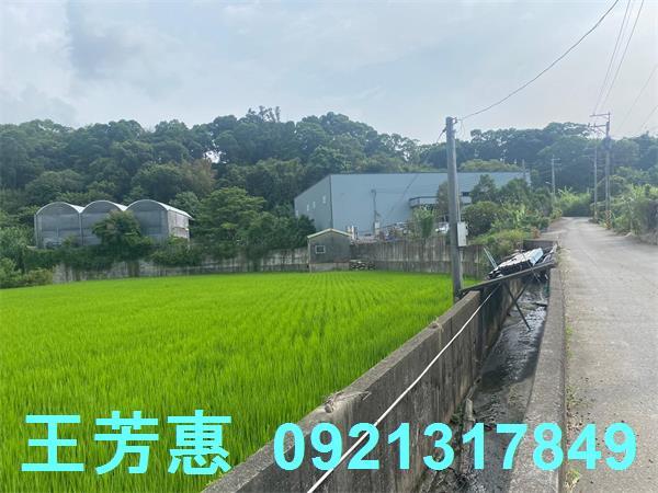 台中外埔農地-0