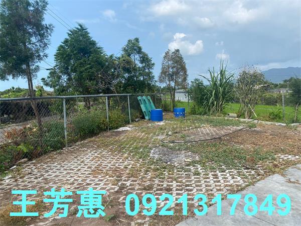 台中外埔農地-2