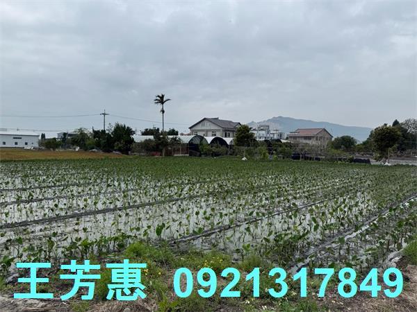 后里農地-0
