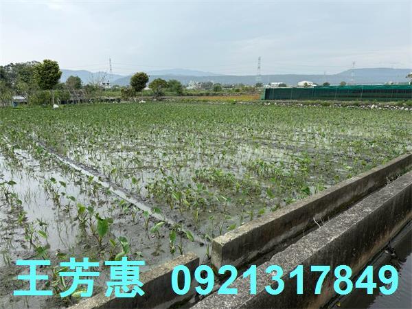 后里農地-5