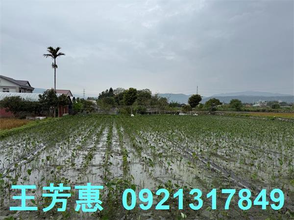 后里農地-6